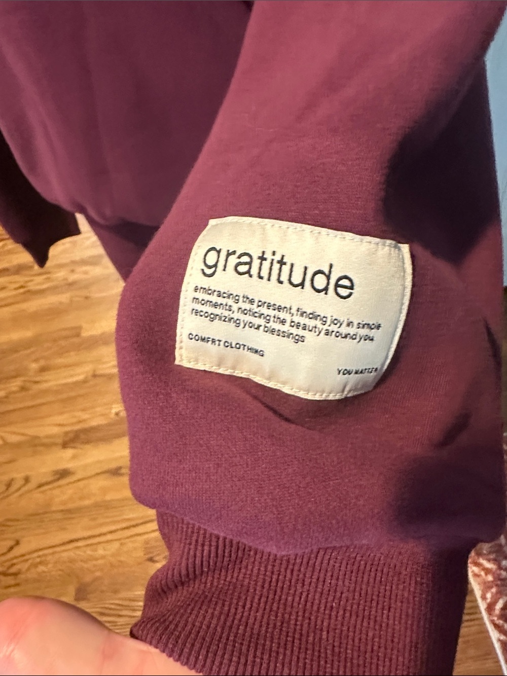 NWOT Comfort Clothing plum Maroon Hoodie & Sweatpants Set Sz M unisex - Picture 3 of 13